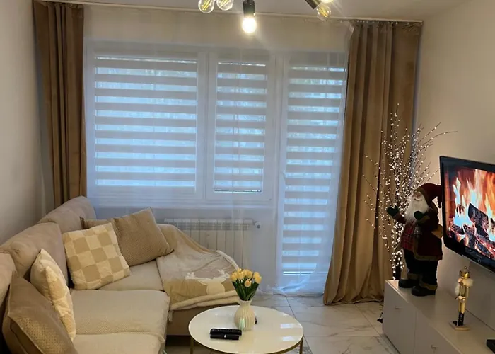 Sara Apartment Turek