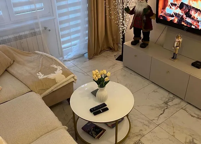 Sara Apartment Turek